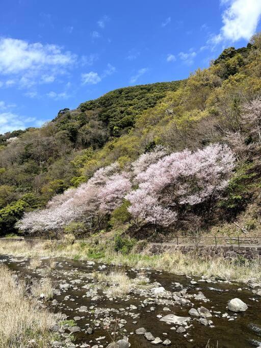 御浜岬の至福を一身に味わう 一軒家貸切宿で贅沢なバーベキューを楽しみながら夕陽に染まる戸田湾の美しさを満喫 Numazu Luaran gambar